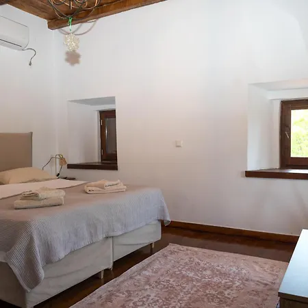 Iasona's Pelion House Дом отдыха