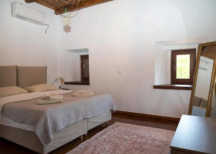 Iasona's Pelion House Case de vacanță